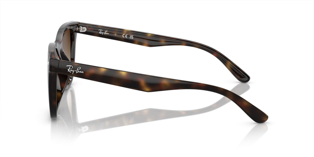 Ray-Ban RB4420
