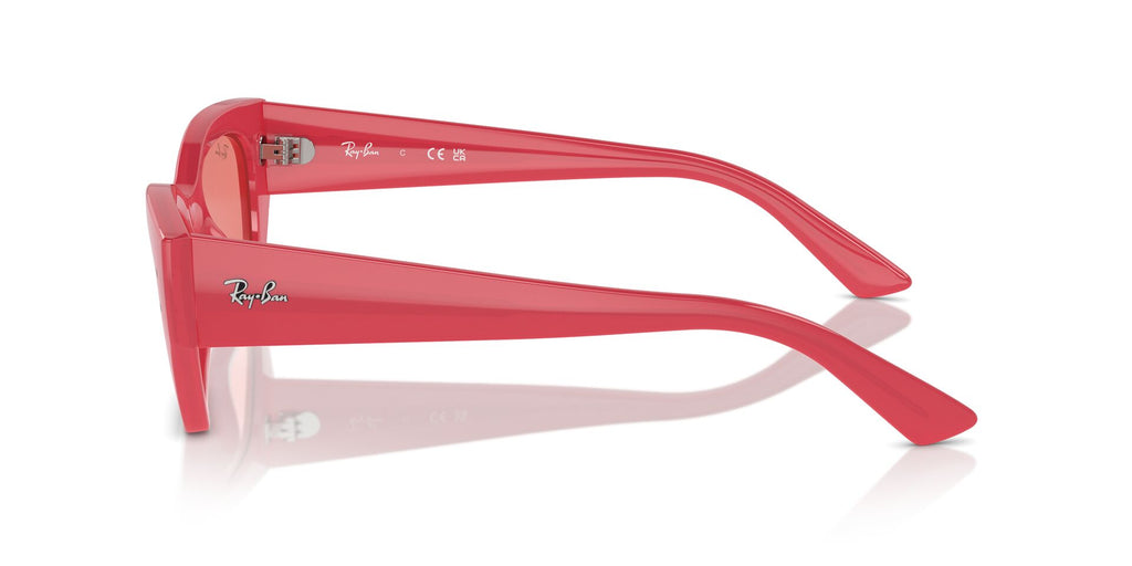 Ray-Ban Zena RB4430