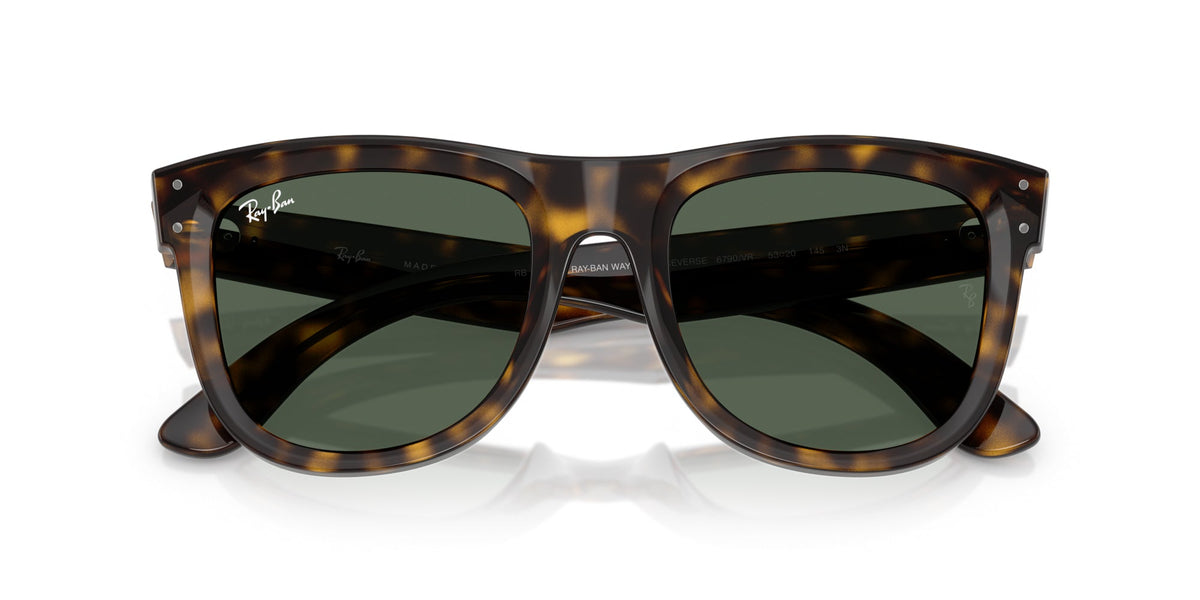 Ray-Ban Wayfarer Reverse RBR0502S