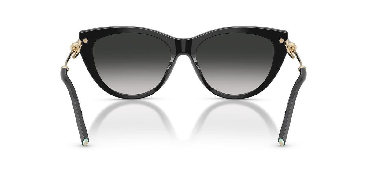 Tiffany TF4253