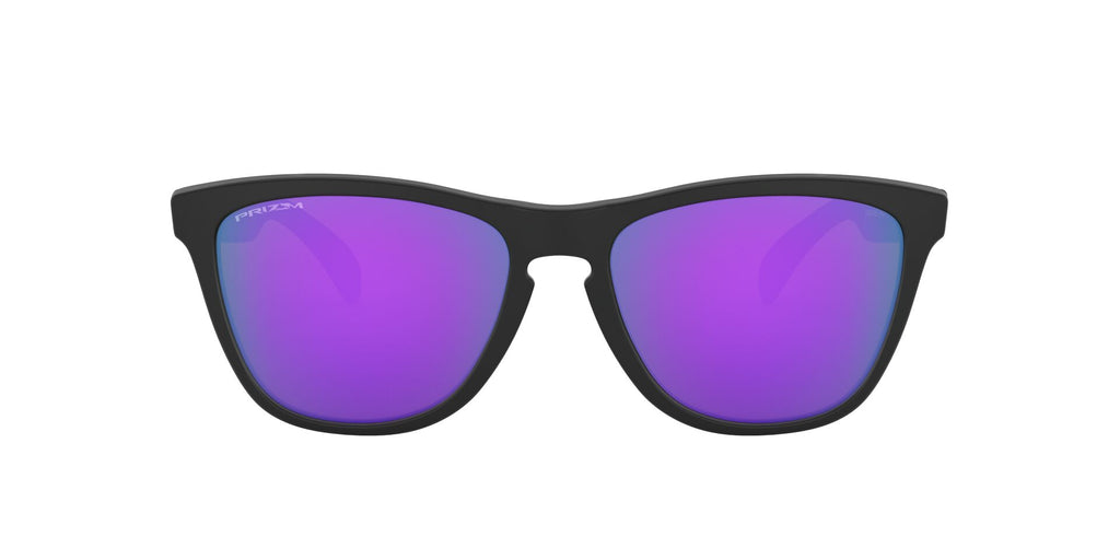 Oakley Frogskins OO9013