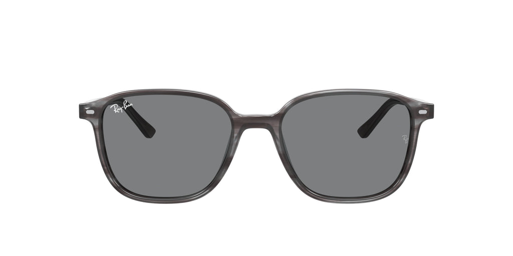 Ray-Ban Leonard RB2193