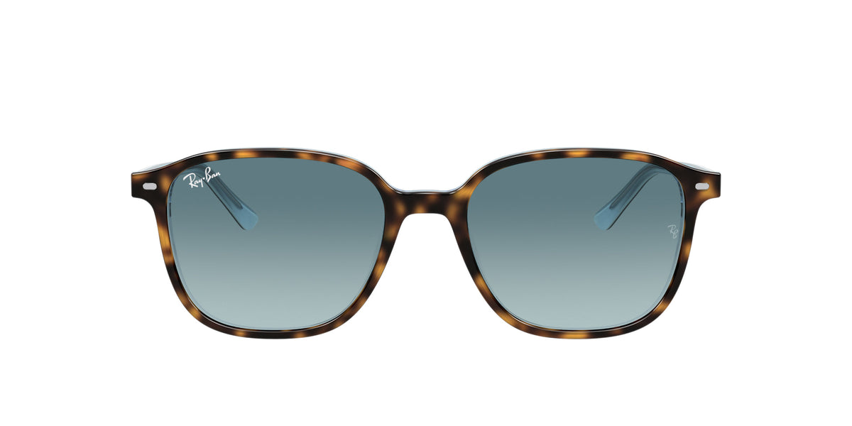 Ray-Ban Leonard RB2193