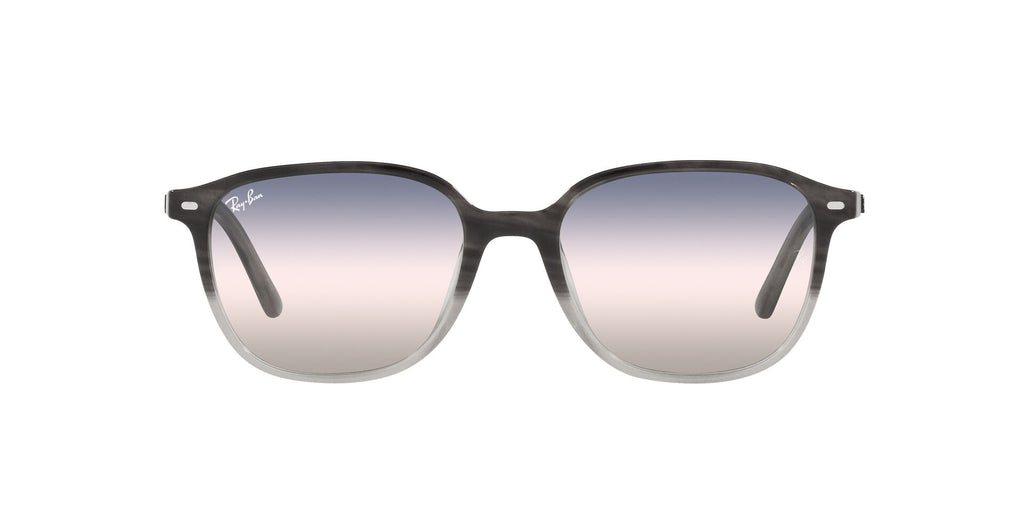 Ray-Ban Leonard RB2193