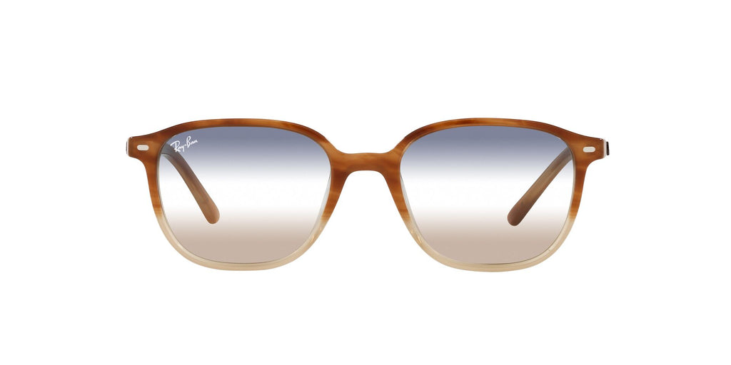 Ray-Ban Leonard RB2193