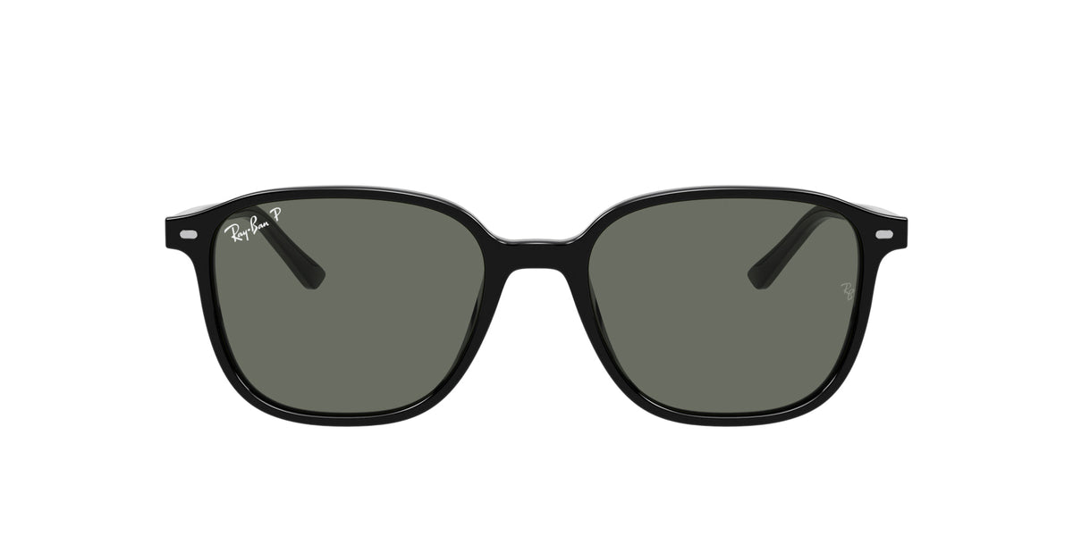 Ray-Ban Leonard RB2193