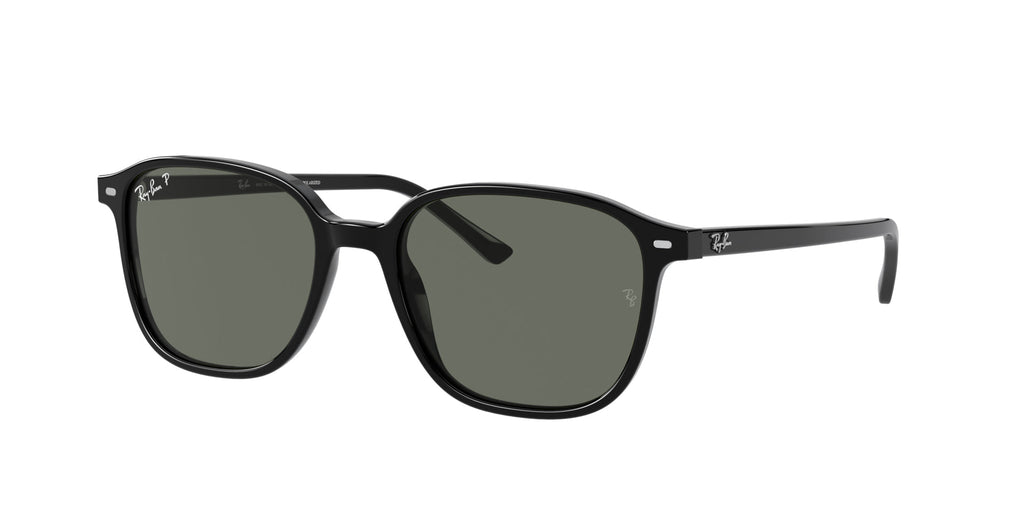 Ray-Ban Leonard RB2193