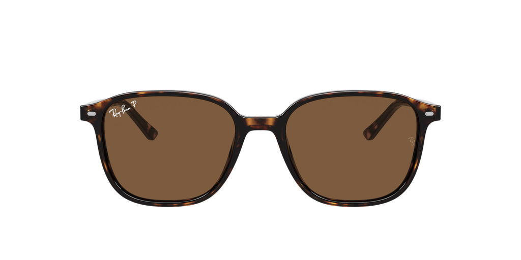 Ray-Ban Leonard RB2193