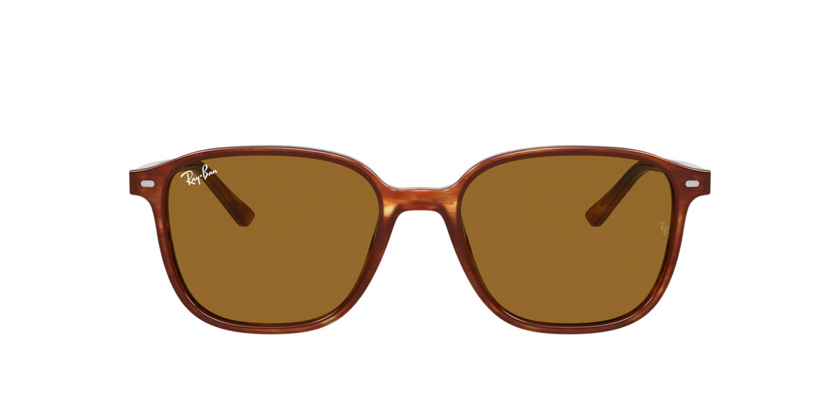 Ray-Ban Leonard RB2193