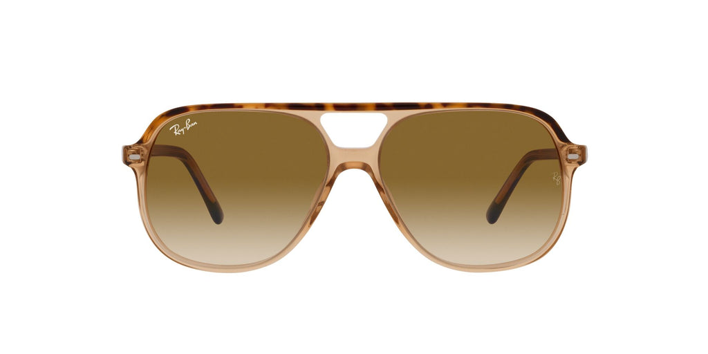 Ray-Ban Bill RB2198