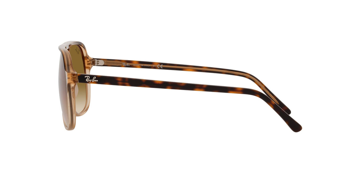 Ray-Ban Bill RB2198