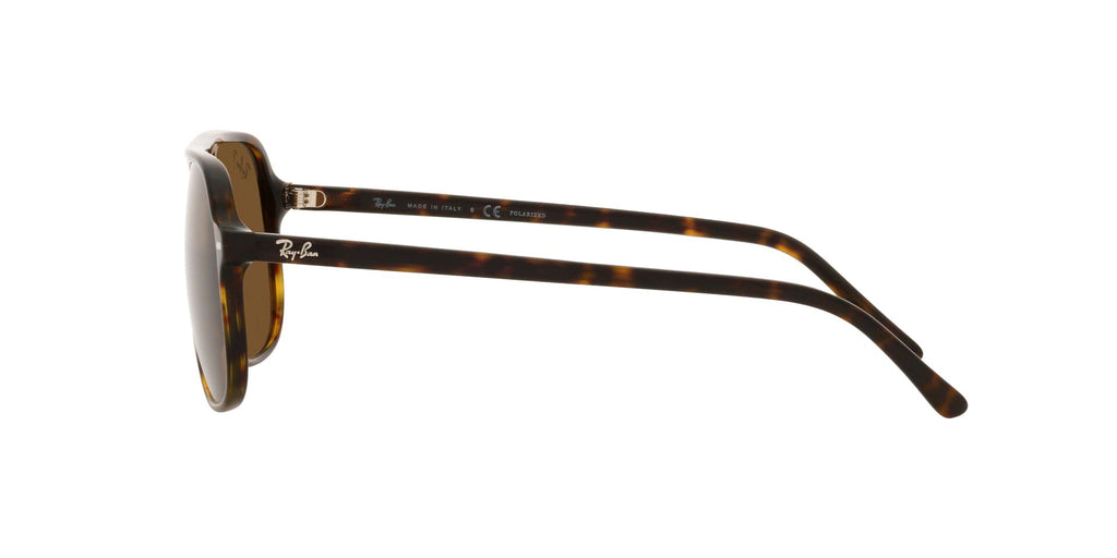 Ray-Ban Bill RB2198