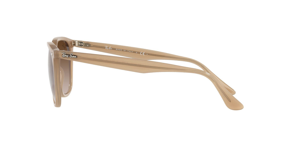 Ray-Ban RB4362