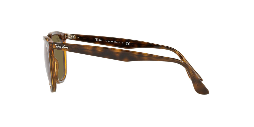 Ray-Ban RB4362