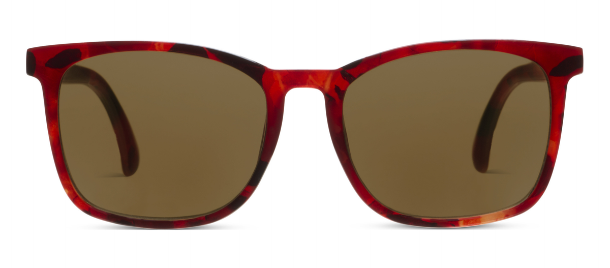 Mateo