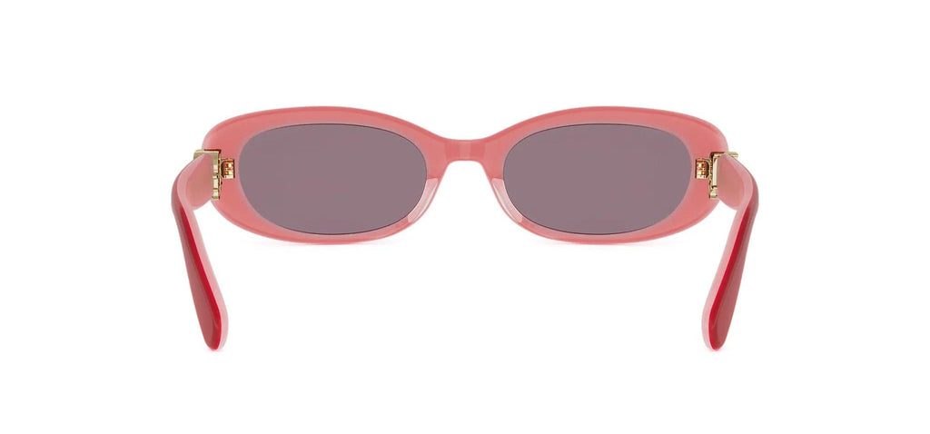 Dior Oblique B1I