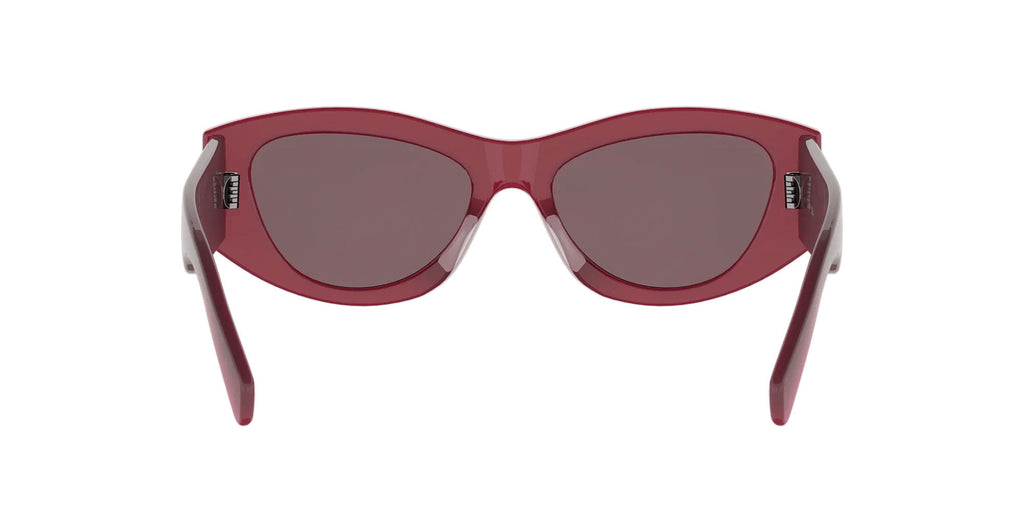 CELINE Triomphe CL40308U