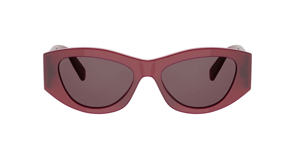CELINE Triomphe CL40308U