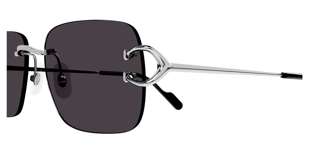 Cartier CT0330S