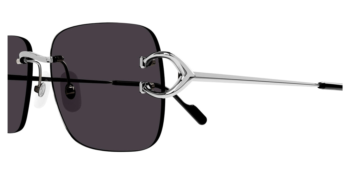 Cartier CT0330S