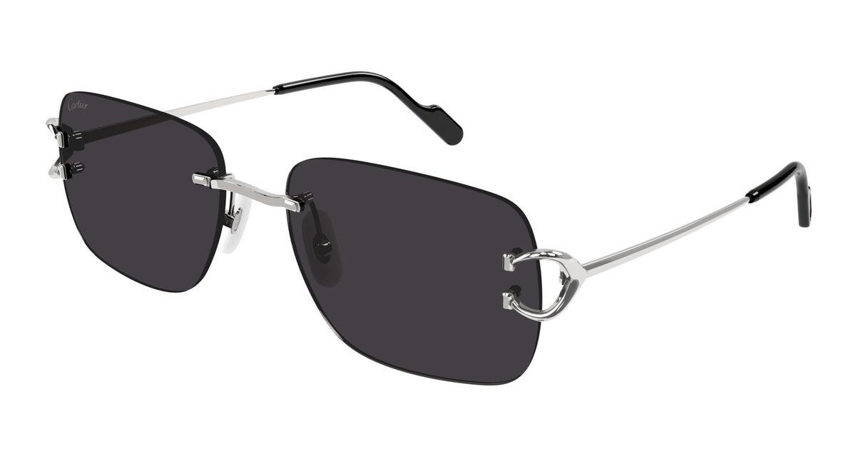 Cartier CT0330S