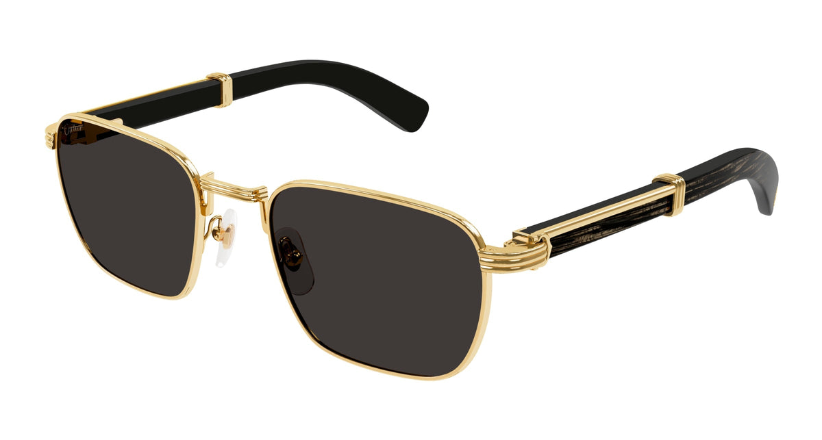 Cartier CT0363S