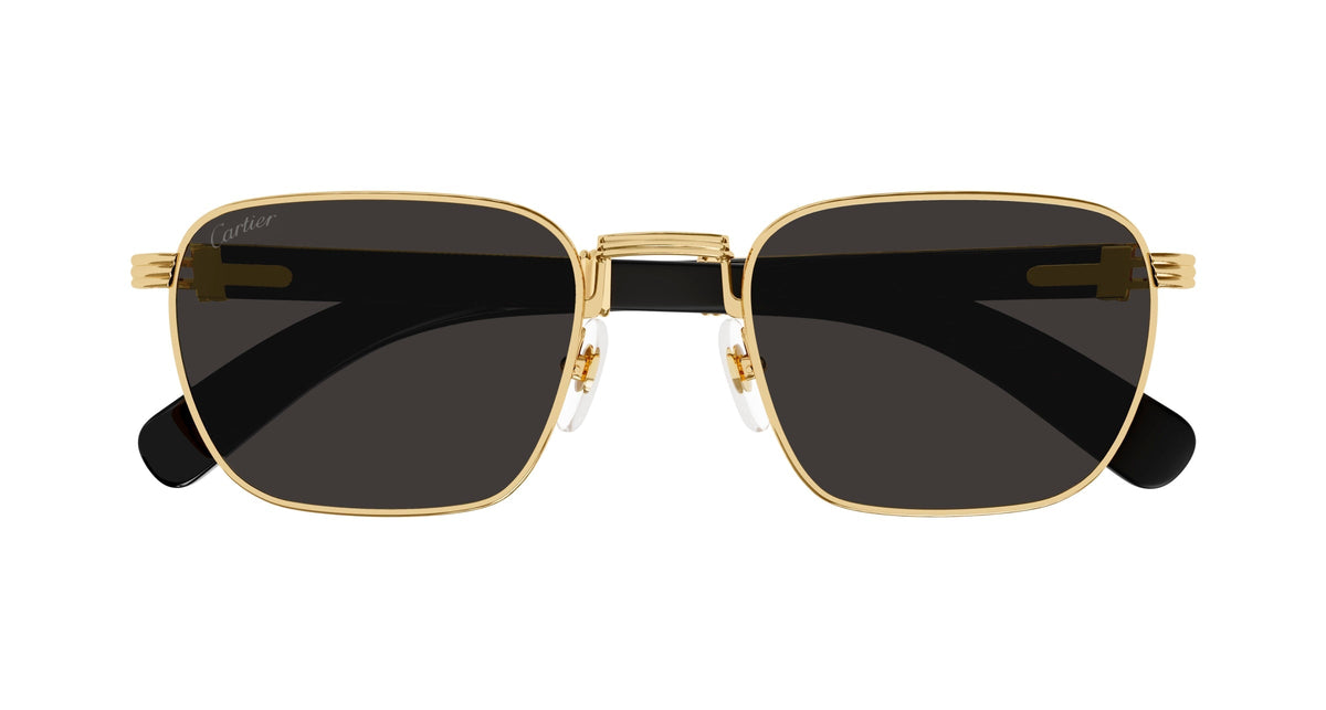 Cartier CT0363S