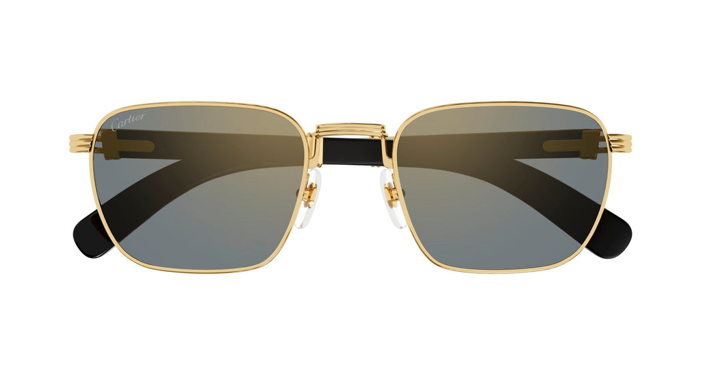 Cartier CT0363S