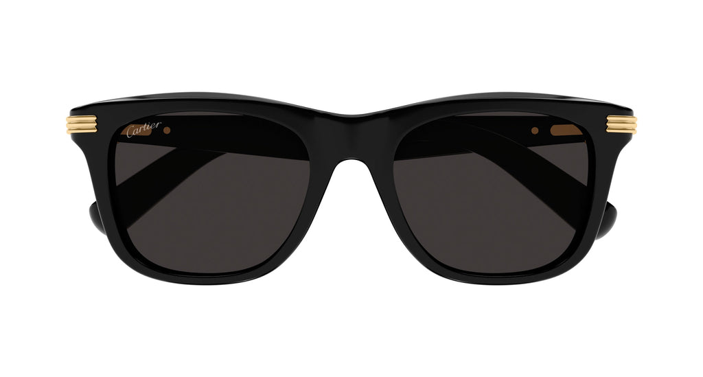Cartier CT0396S