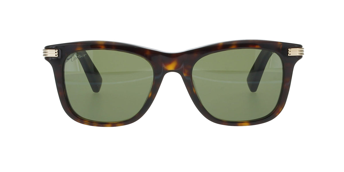 Cartier CT0396S