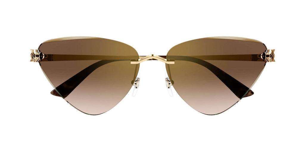 Cartier CT0399S