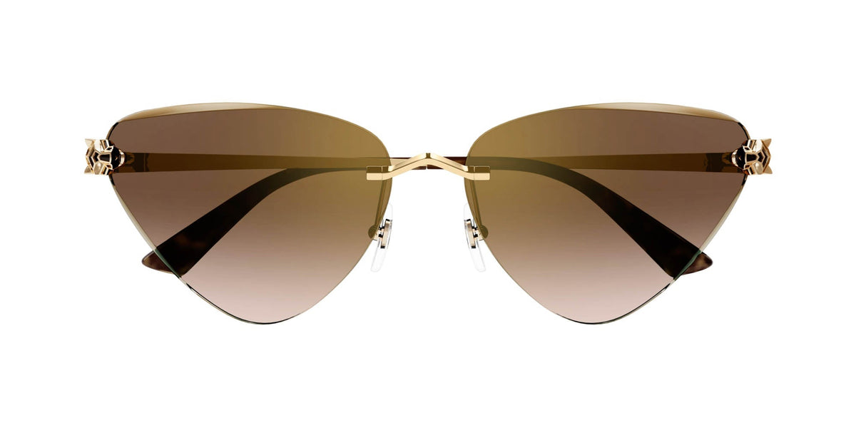 Cartier CT0399S