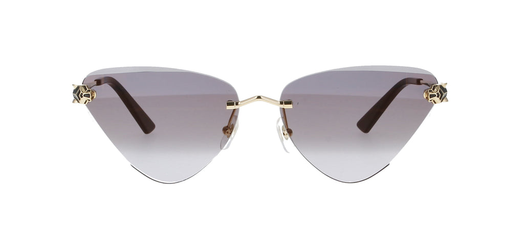 Cartier CT0399S