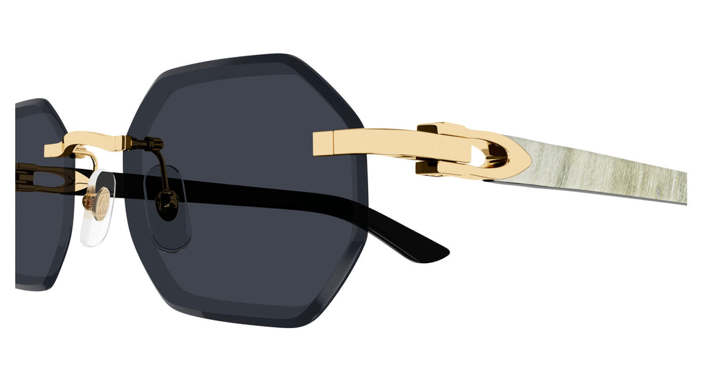Cartier CT0439S