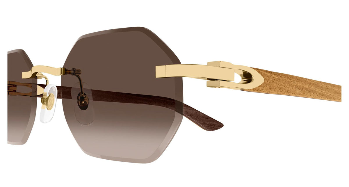 Cartier CT0439S