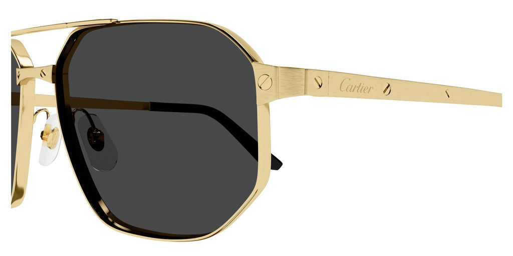 Cartier CT0462S