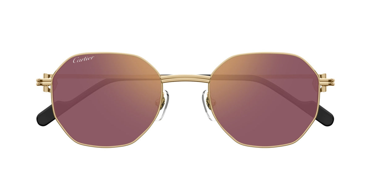Cartier CT0500S