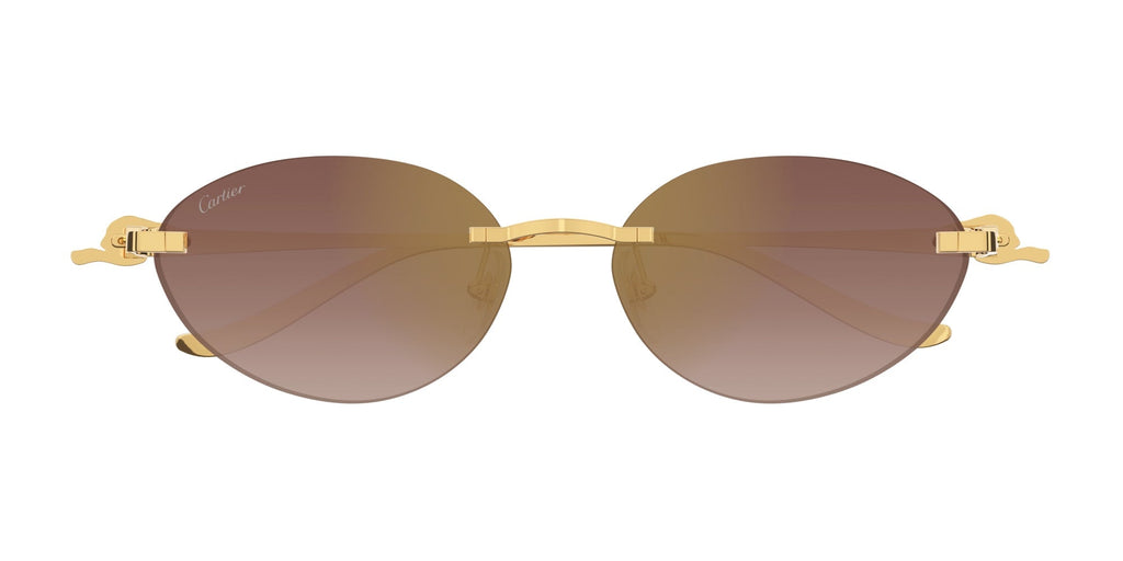 Cartier CT0504S