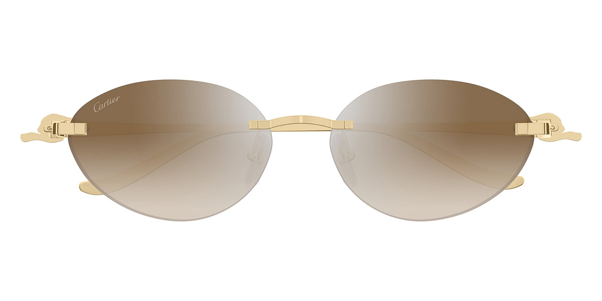 Cartier CT0504S