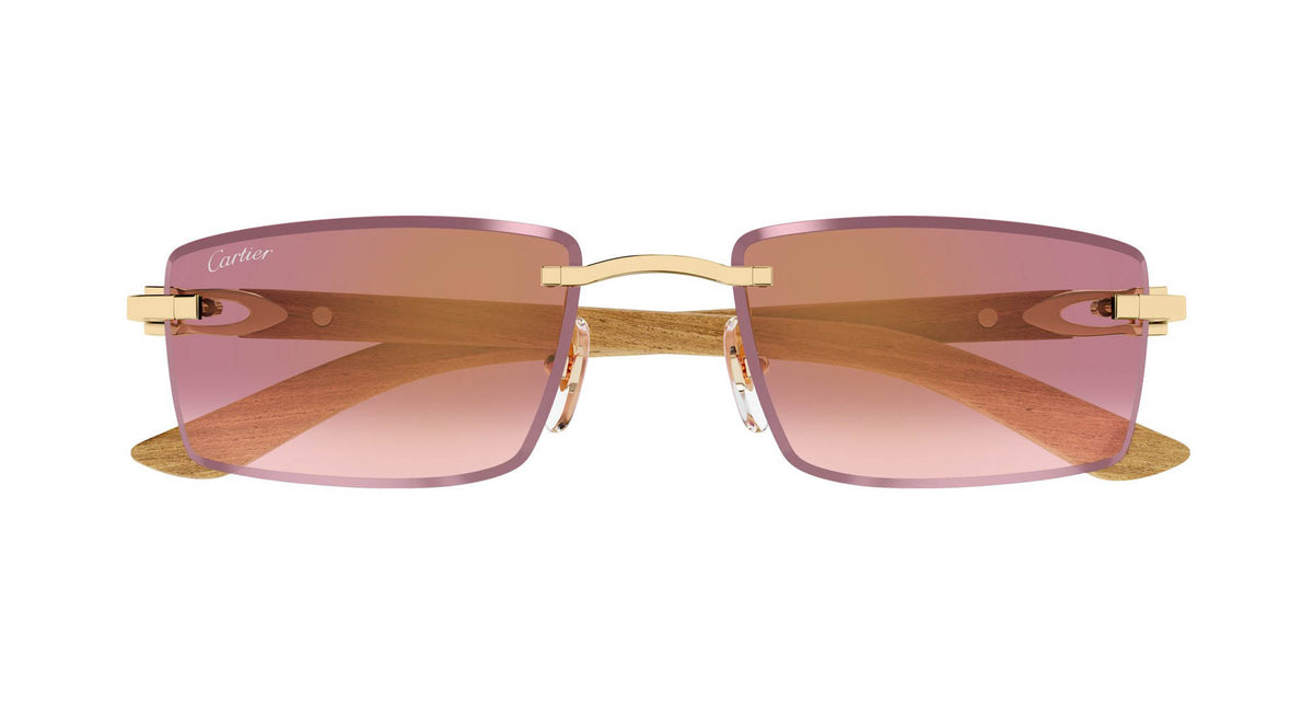 Cartier CT0582S