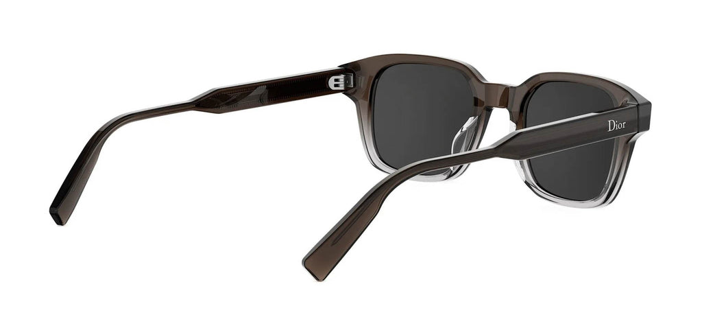 Dior DioRibbon S1I