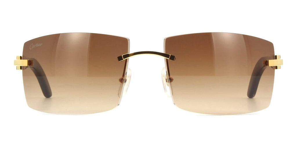 Cartier CT0021RS