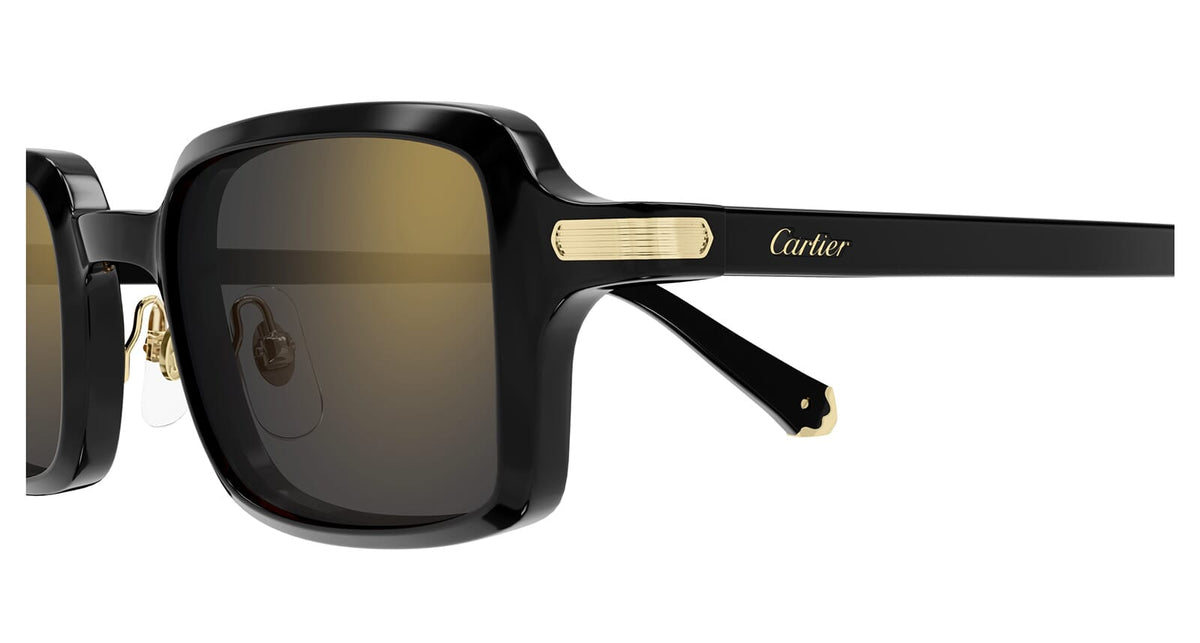 Cartier CT0539S