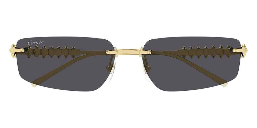 Cartier CT0544S