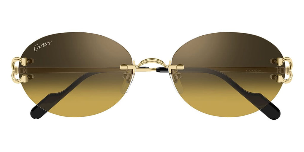 Cartier CT0551S