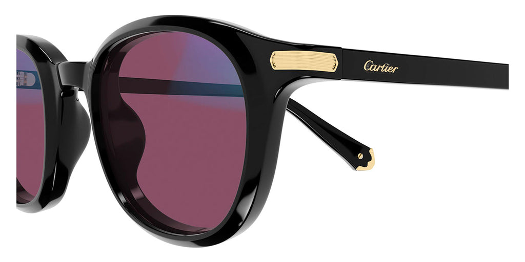 Cartier CT0584S