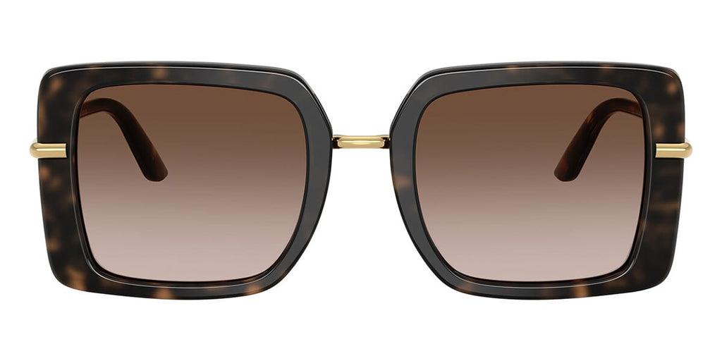 Dolce&Gabbana DG4491