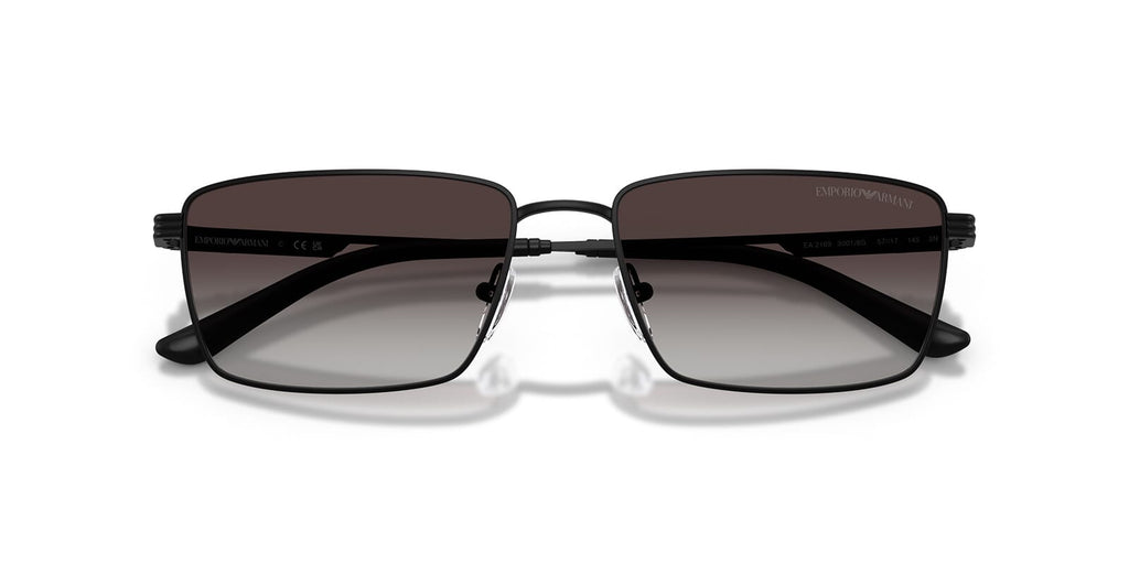 Emporio Armani EA2169