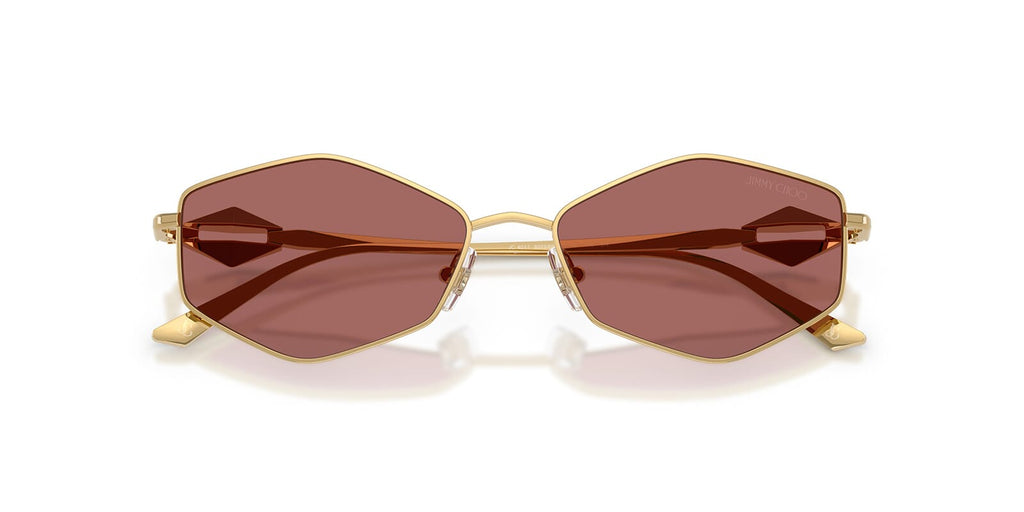 Jimmy Choo JC4017