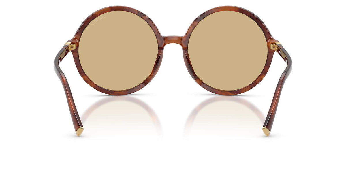Miu Miu SMUB02